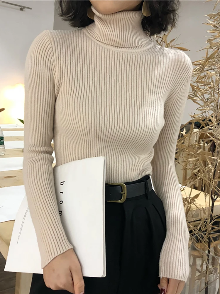 Klassischer Rollkragenpullover für Damen von Aphrodite™.

