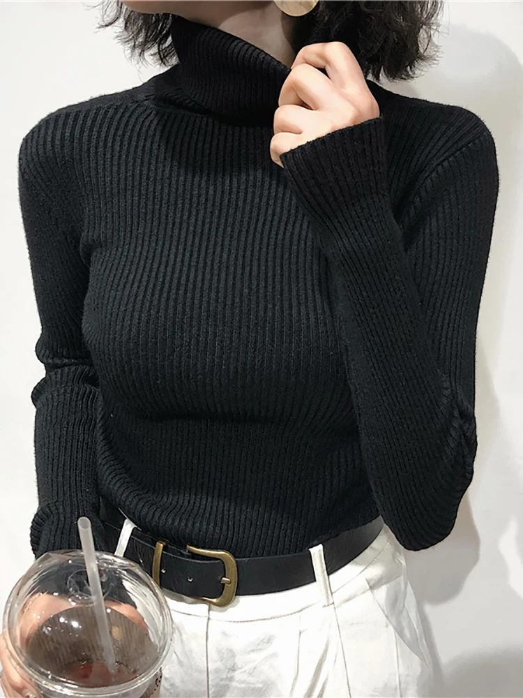 Weicher und stilvoller Rollkragenpullover von Aphrodite™.
