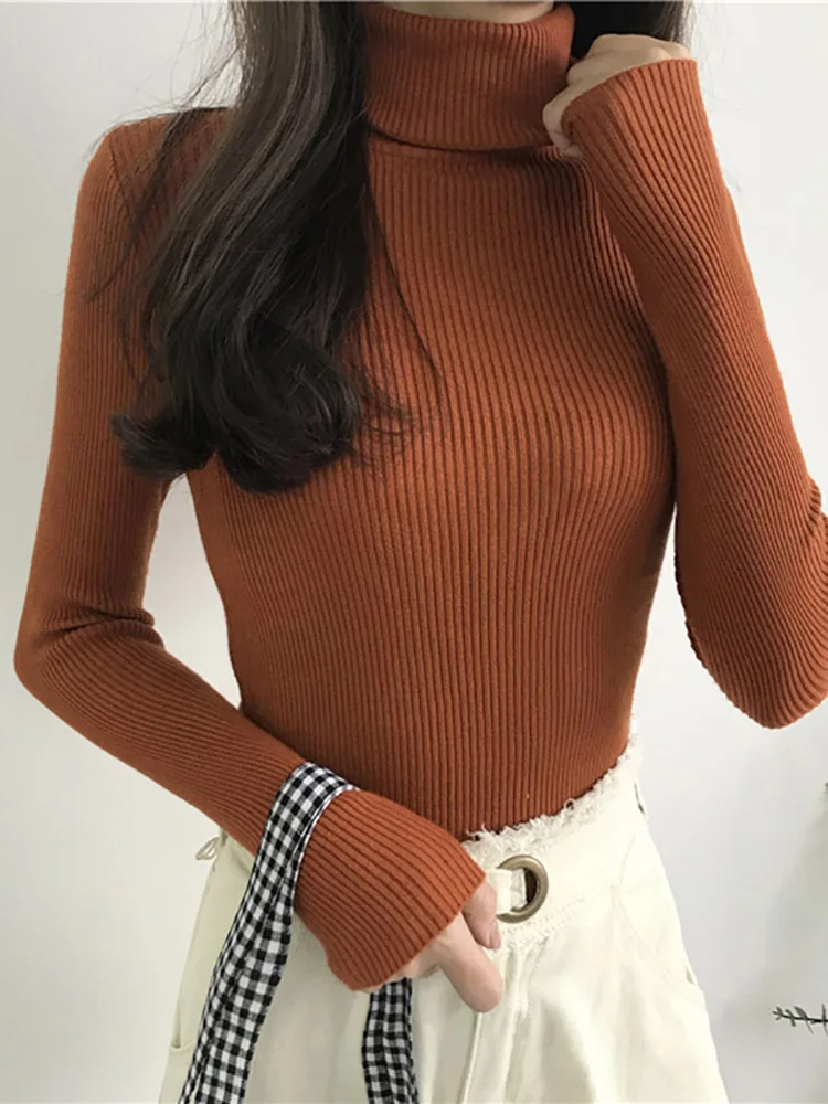 Eleganter Rollkragenpullover aus Premium-Stoff von Aphrodite™.
